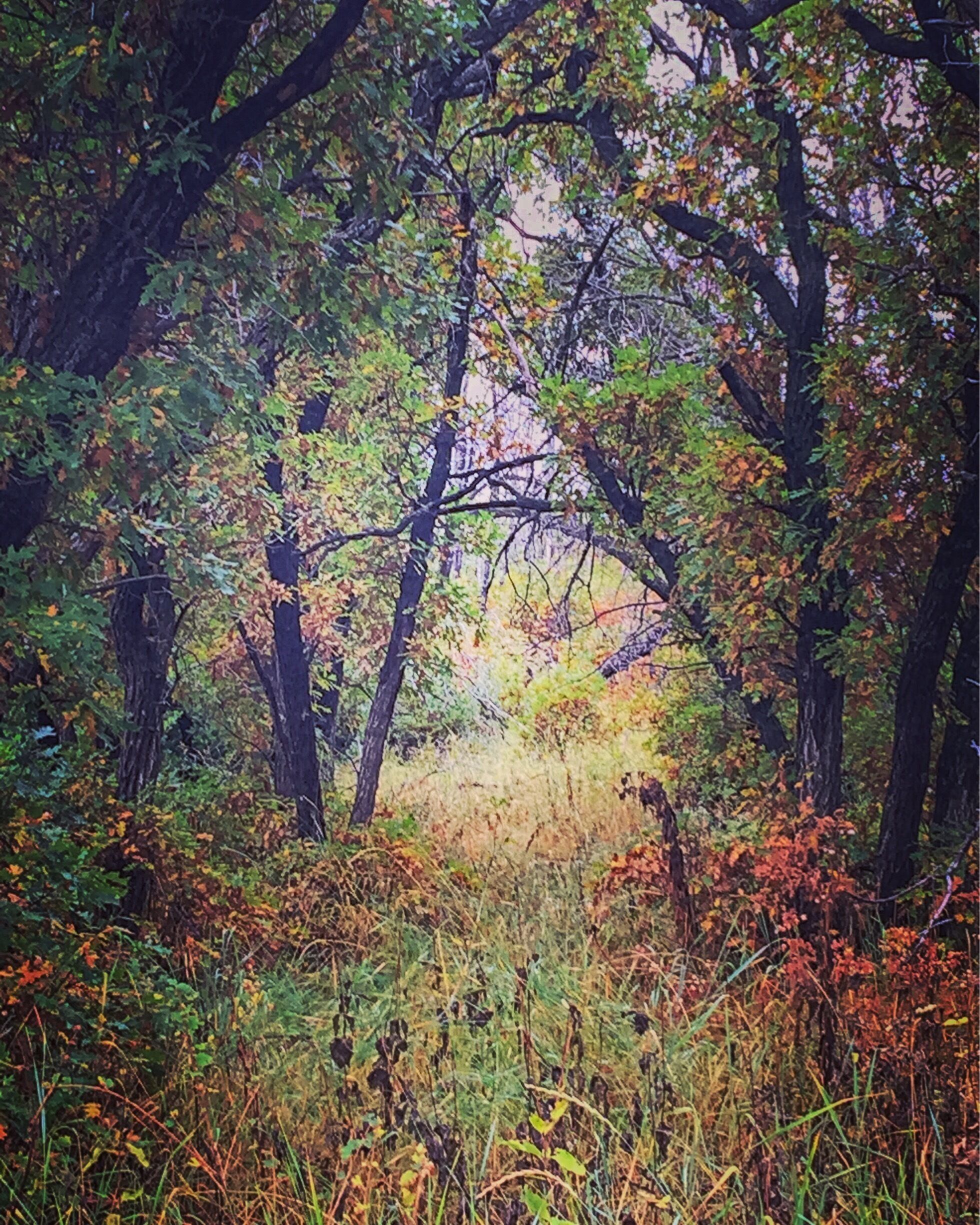 Along one of the many beautiful trails found at Sugarite Canyon State Park