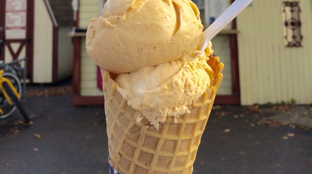 Excellent ice cream. Try the pumpkin. Overlooks the Ohio River.