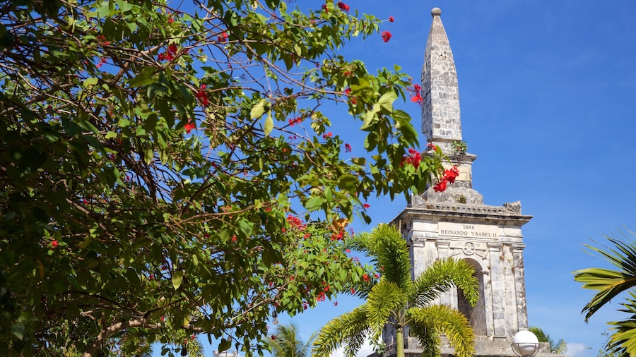 Lapu Lapu featuring heritage architecture and religious aspects