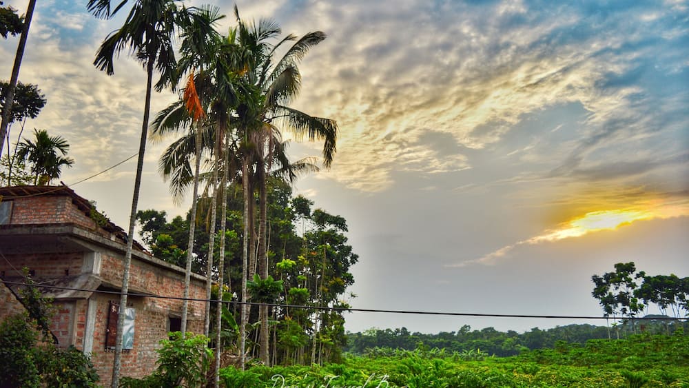 A mesmerizing morning from the country side of Bangladesh.
.
After experiencing my first beach holiday, it was time for me to spend some time in this beautiful village situated at India Bangladesh border.
.
.
.
.
.
.
.
.
.
.
. .
.
.
.
#yourshotphotographer #NGTDailyShot #Natgeotravel #CNtravelerindia #Beautifuldestinations #LonelyPlanetIndia #Earthescope #theweekoninstagram
#IncredibleIndia #_soi #igramming_india #indiatravel #indiatourism #travelrealindia #Lifewelltravelled #travelbug #traveladdict #travellife #travels #travelgram #instatravel #instatraveling #instapassport #travelblog #travelblogger #passionpassport #ilovetravel #sky #sunrise #bangladesh
#troveron #Lifeatexpedia #troveontuesday #troveron #Lifeatexpedia #horizon #skyporn #GoldenHour
