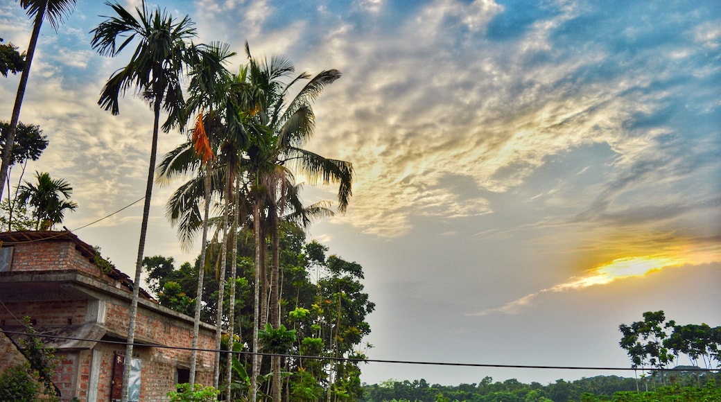 A mesmerizing morning from the country side of Bangladesh.
.
After experiencing my first beach holiday, it was time for me to spend some time in this beautiful village situated at India Bangladesh border.
.
.
.
.
.
.
.
.
.
.
. .
.
.
.
#yourshotphotographer #NGTDailyShot #Natgeotravel #CNtravelerindia #Beautifuldestinations #LonelyPlanetIndia #Earthescope #theweekoninstagram
#IncredibleIndia #_soi #igramming_india #indiatravel #indiatourism #travelrealindia #Lifewelltravelled #travelbug #traveladdict #travellife #travels #travelgram #instatravel #instatraveling #instapassport #travelblog #travelblogger #passionpassport #ilovetravel #sky #sunrise #bangladesh
#troveron #Lifeatexpedia #troveontuesday #troveron #Lifeatexpedia #horizon #skyporn #GoldenHour