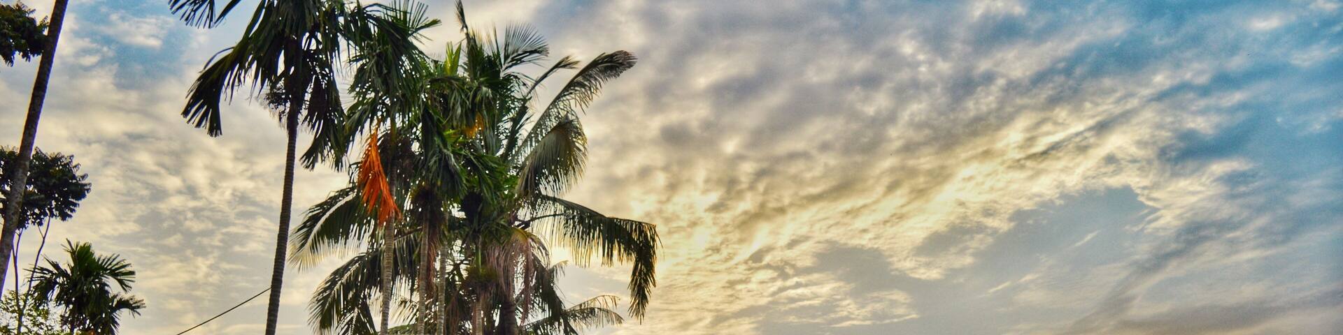 A mesmerizing morning from the country side of Bangladesh.
.
After experiencing my first beach holiday, it was time for me to spend some time in this beautiful village situated at India Bangladesh border.
.
.
.
.
.
.
.
.
.
.
. .
.
.
.
#yourshotphotographer #NGTDailyShot #Natgeotravel #CNtravelerindia #Beautifuldestinations #LonelyPlanetIndia #Earthescope #theweekoninstagram
#IncredibleIndia #_soi #igramming_india #indiatravel #indiatourism #travelrealindia #Lifewelltravelled #travelbug #traveladdict #travellife #travels #travelgram #instatravel #instatraveling #instapassport #travelblog #travelblogger #passionpassport #ilovetravel #sky #sunrise #bangladesh
#troveron #Lifeatexpedia #troveontuesday #troveron #Lifeatexpedia #horizon #skyporn #GoldenHour
