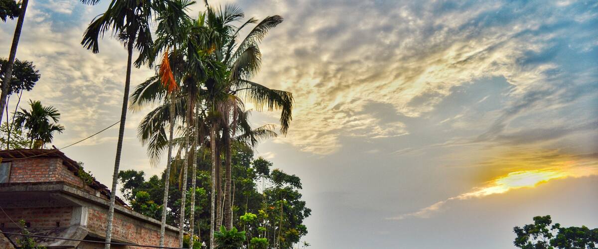 A rural landscape with palm trees, a brick building, and lush greenery under a partly cloudy sky.