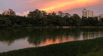 #greendhakacampaign #gulshanlake
#dhaka