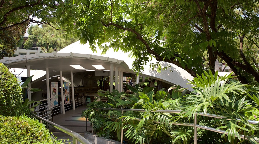 Makati showing a garden