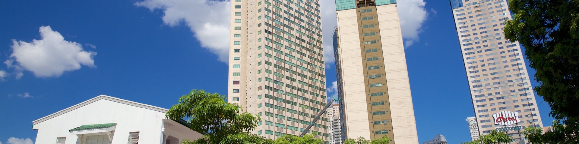 Mandaluyong which includes a high rise building and a city
