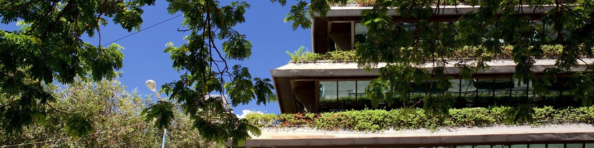 Mandaluyong which includes modern architecture and a garden