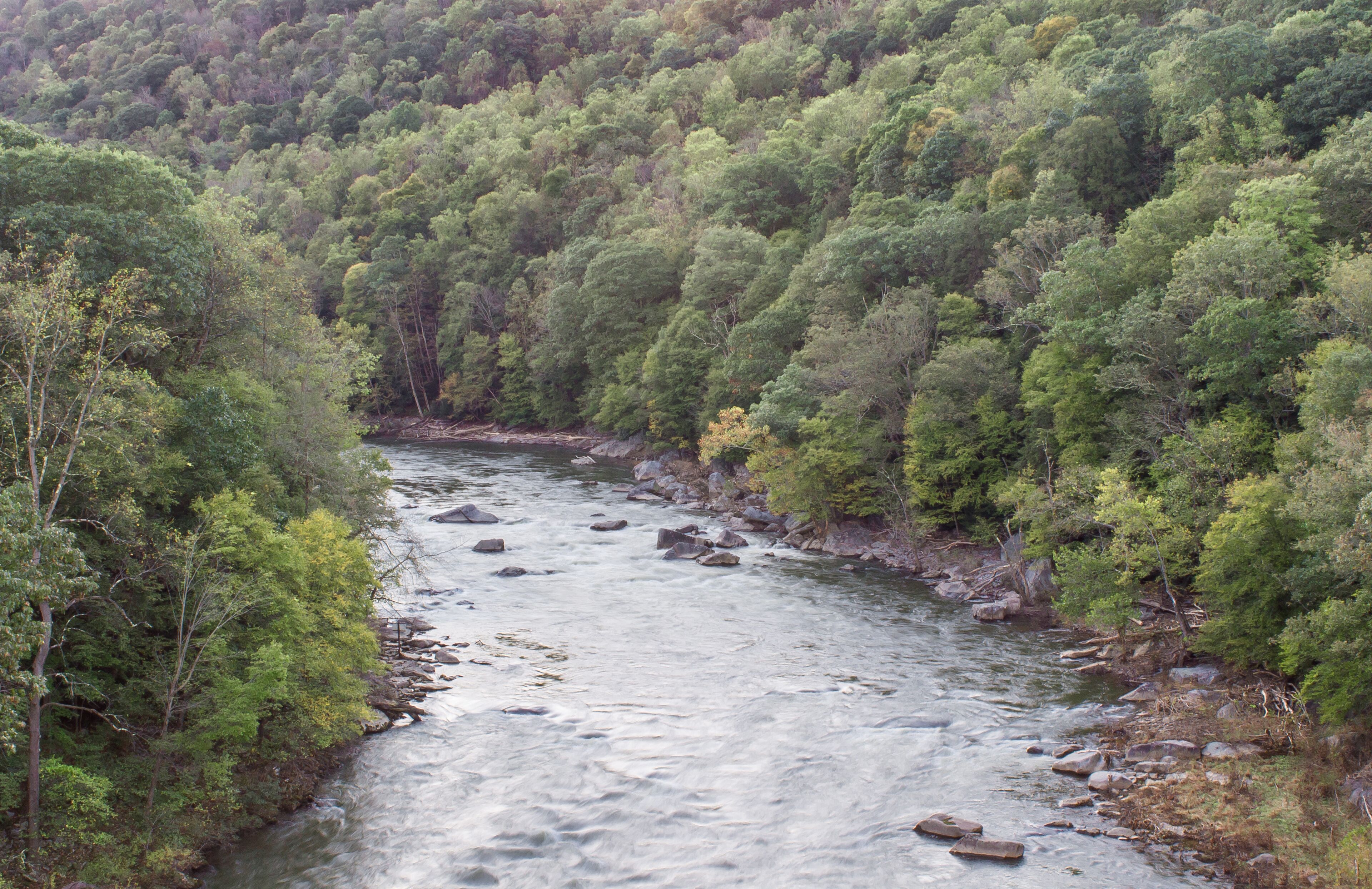 The Youghiogheny River as it flows through Ohiopyle State park in the summer