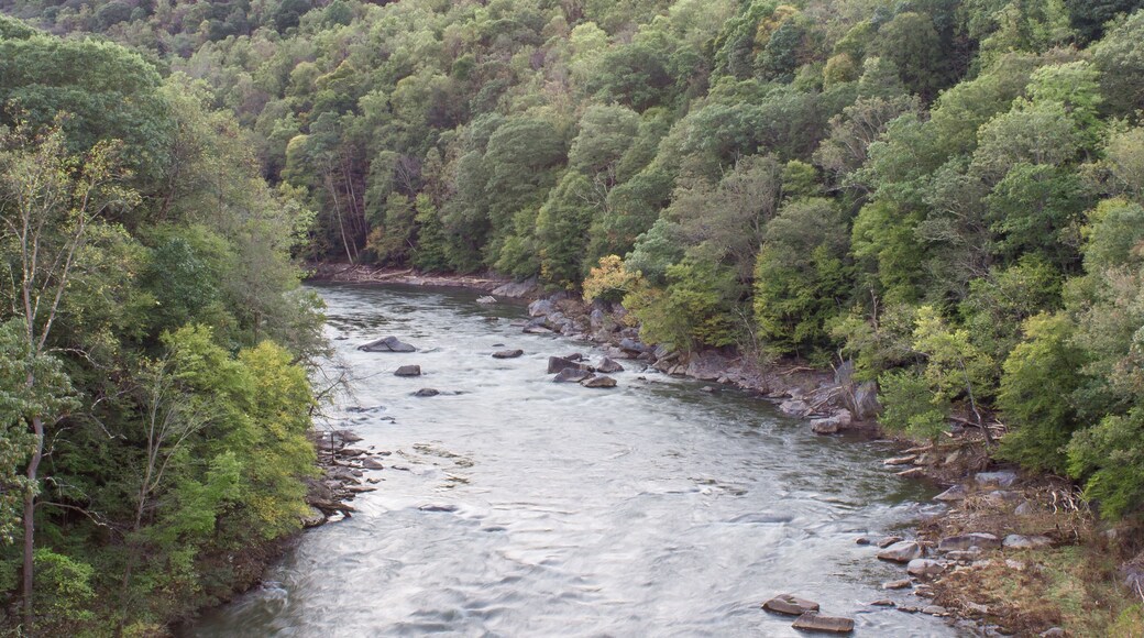 The Youghiogheny River as it flows through Ohiopyle State park in the summer