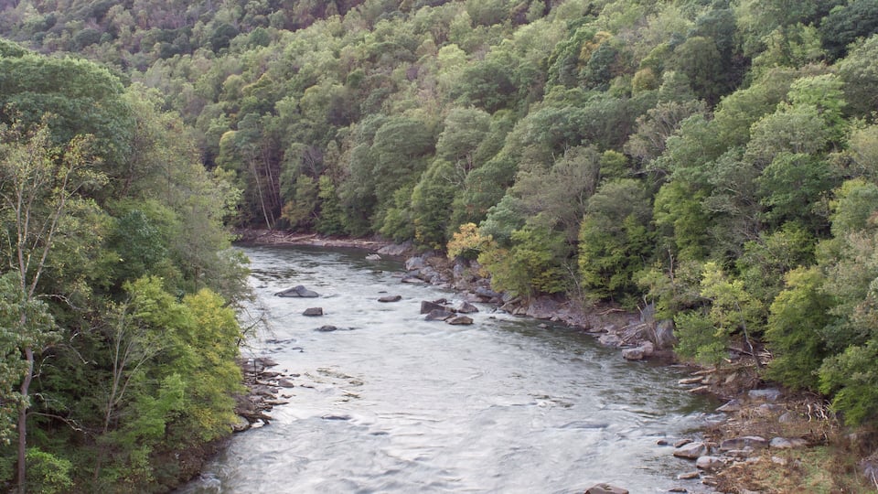 A river flowing through a densely forested valley with rocky banks and lush greenery.