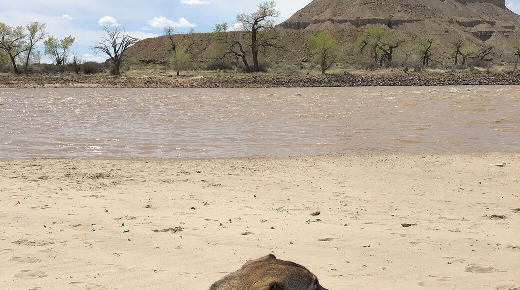 Beach time in Utah! April 2019.