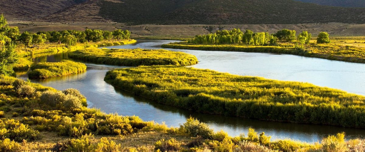 A river meandering through a lush valley with dense greenery and distant mountains.