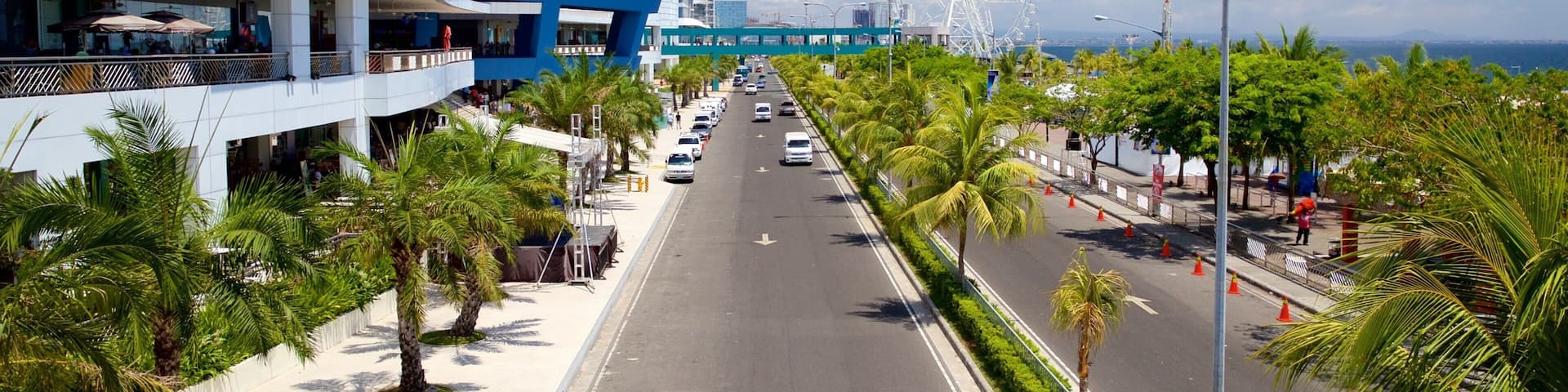 A coastal road with palm trees, a Ferris wheel, and a modern building with a blue facade.