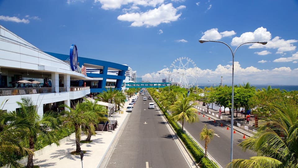 A coastal road with palm trees, a Ferris wheel, and a modern building with a blue facade.