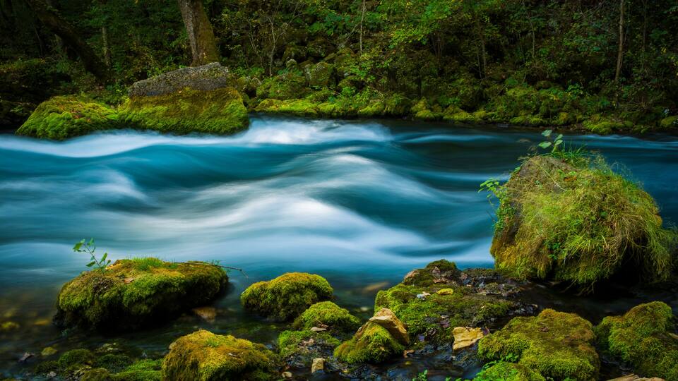 A river flowing through a forest with moss-covered rocks.