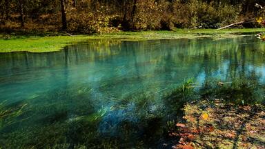 A clear pond surrounded by trees with autumn leaves.