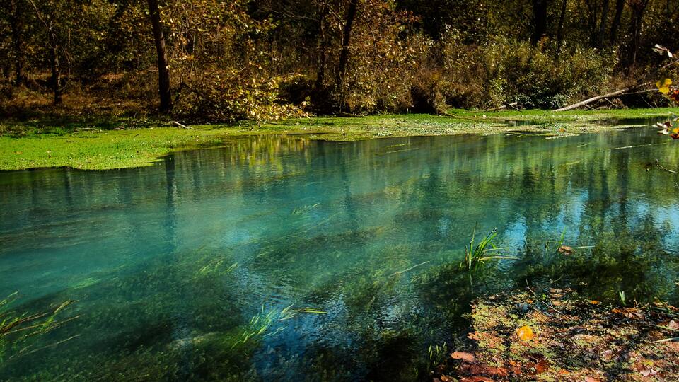 Two Different Ecosystems