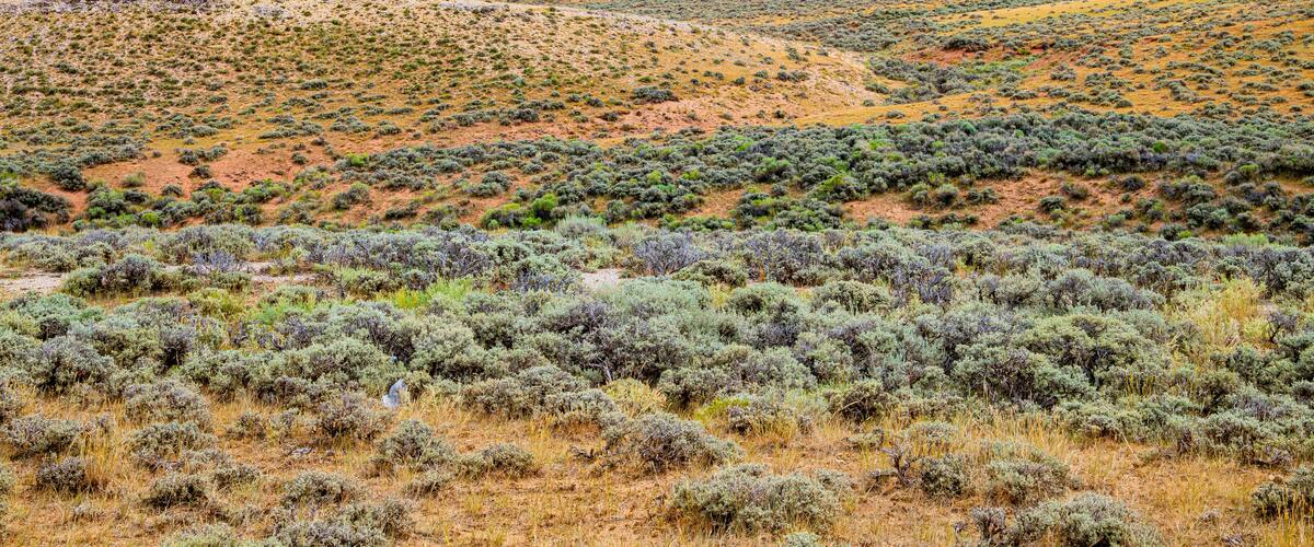 Landscape view near Rawlins, Wyoming