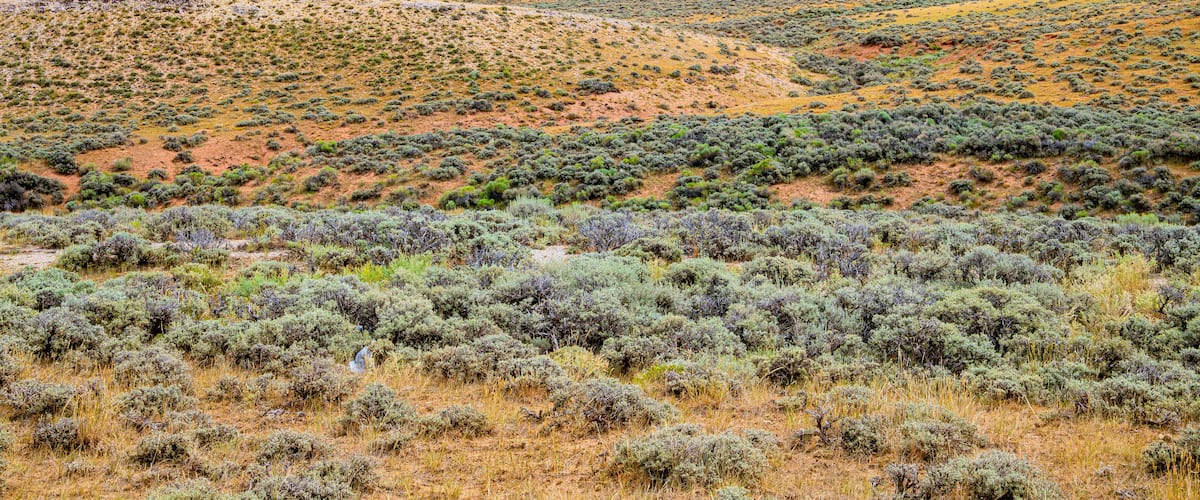 Landscape view near Rawlins, Wyoming