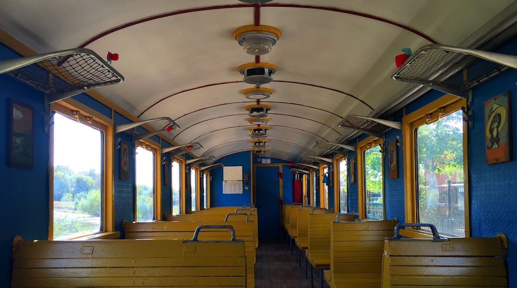 Childrens' railroad.