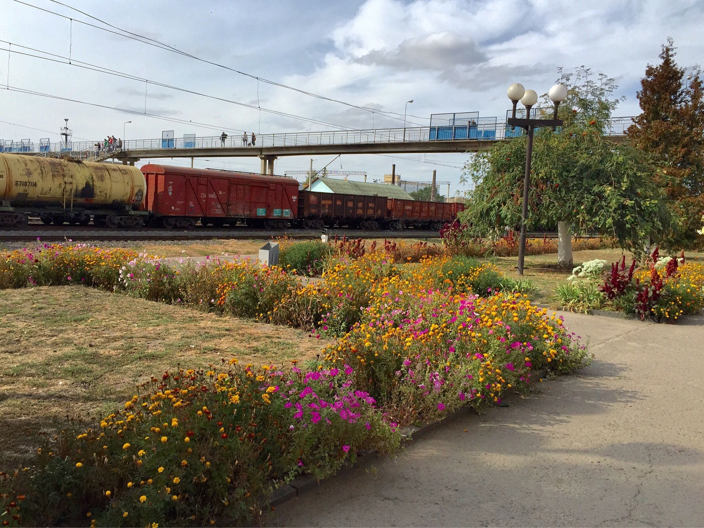 The perfect season for beauty at the train station. 