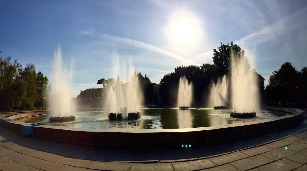 Finally, a functioning fountain.