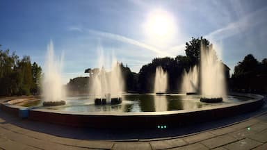 Finally, a functioning fountain.