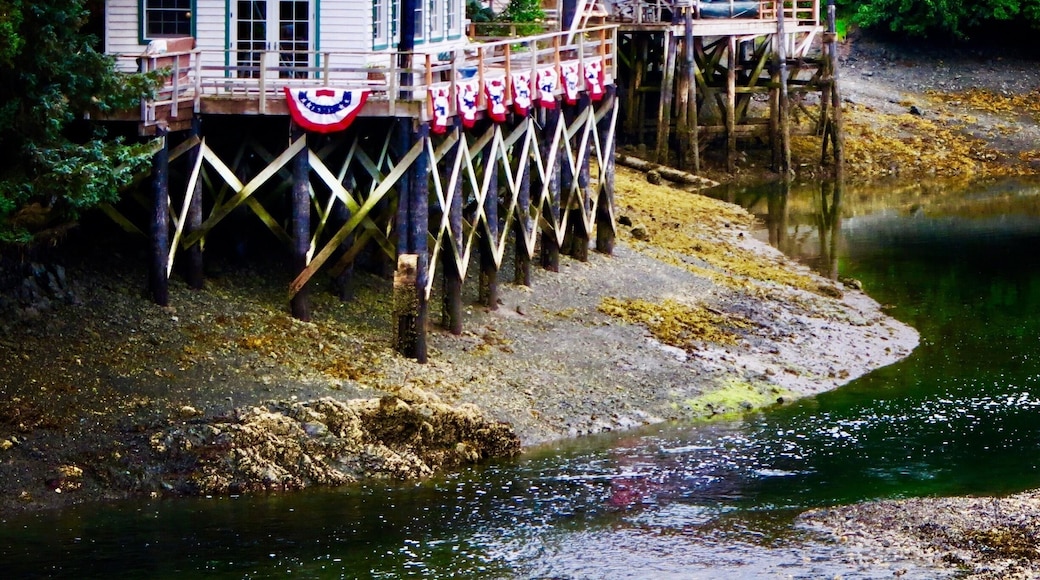 Seldovia Slough.
#AquaTrove