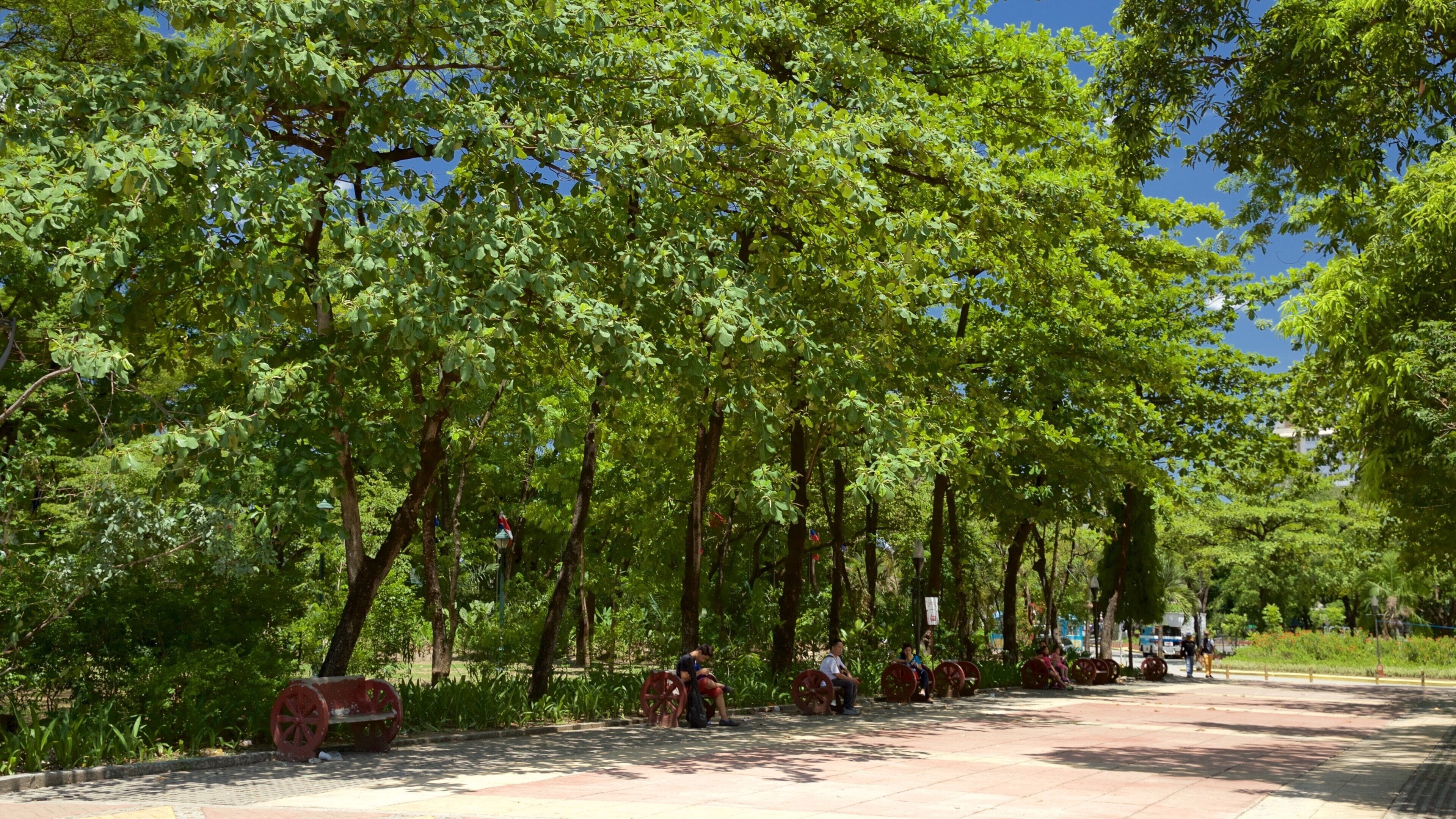 Quezón City mostrando bosques