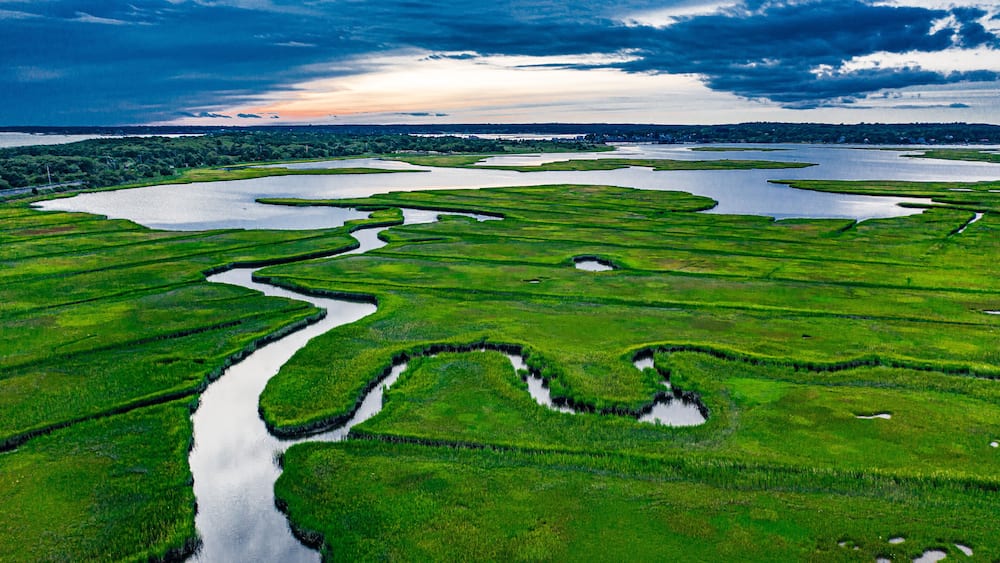 salt marsh along westport river