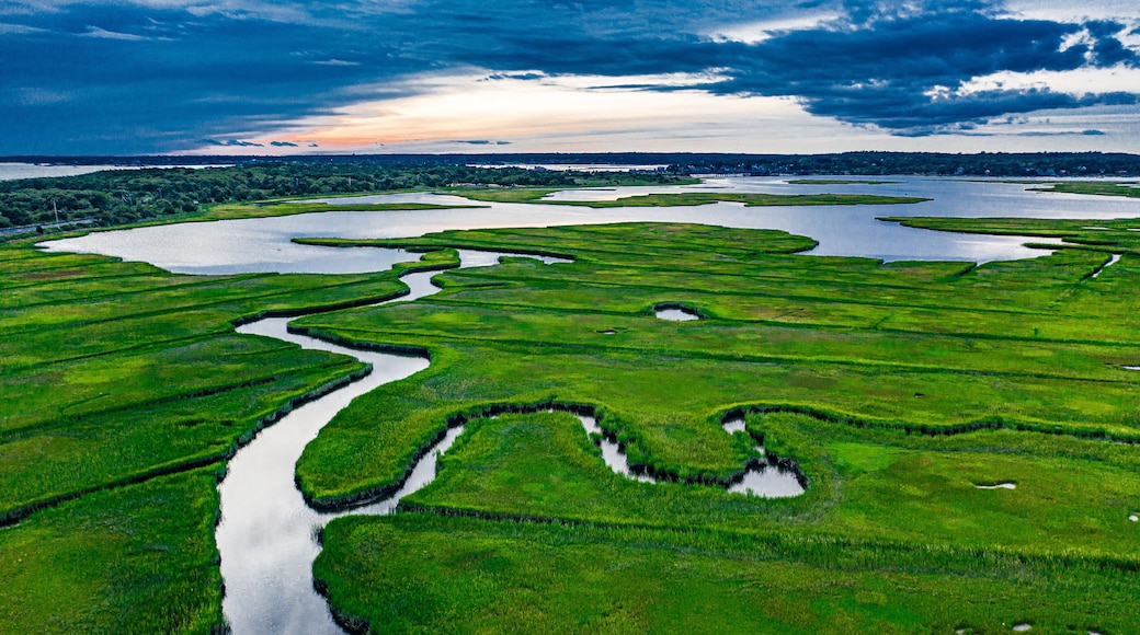 salt marsh along westport river