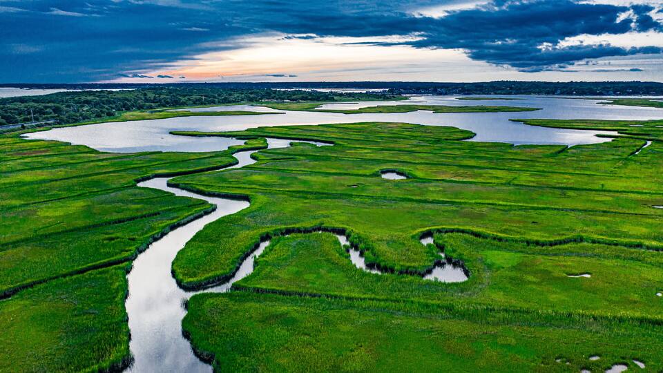 salt marsh along westport river