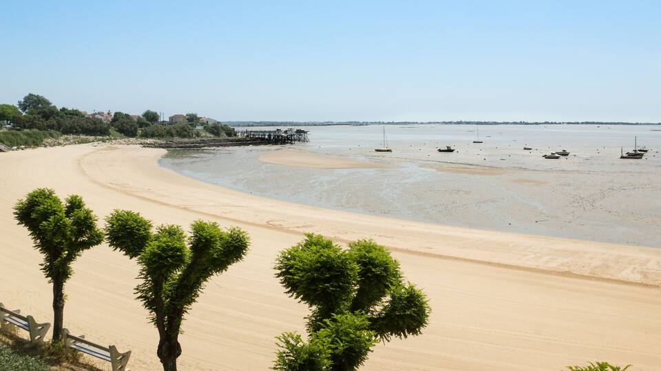 A sandy beach with a few boats, a pier, and some trees.