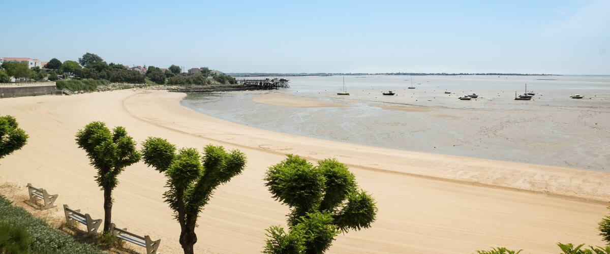 A sandy beach with a few boats, a pier, and some trees.