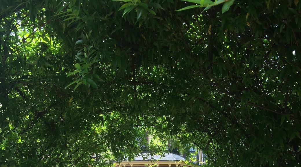 Beautiful B&B in a cute little historic town :)