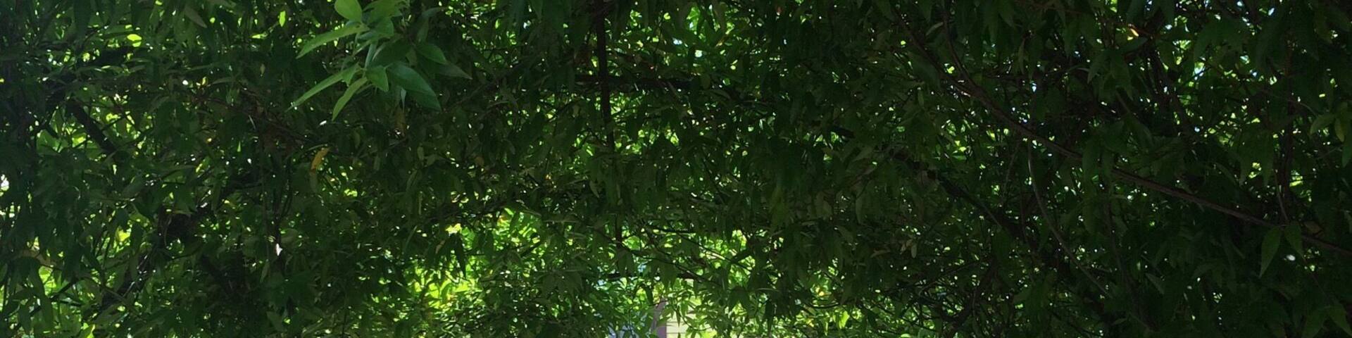 Beautiful B&B in a cute little historic town :)