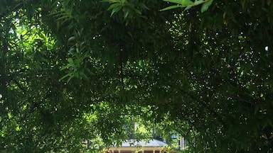 Beautiful B&B in a cute little historic town :)