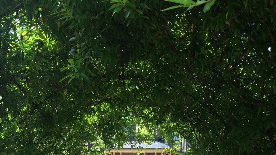 Beautiful B&B in a cute little historic town :)