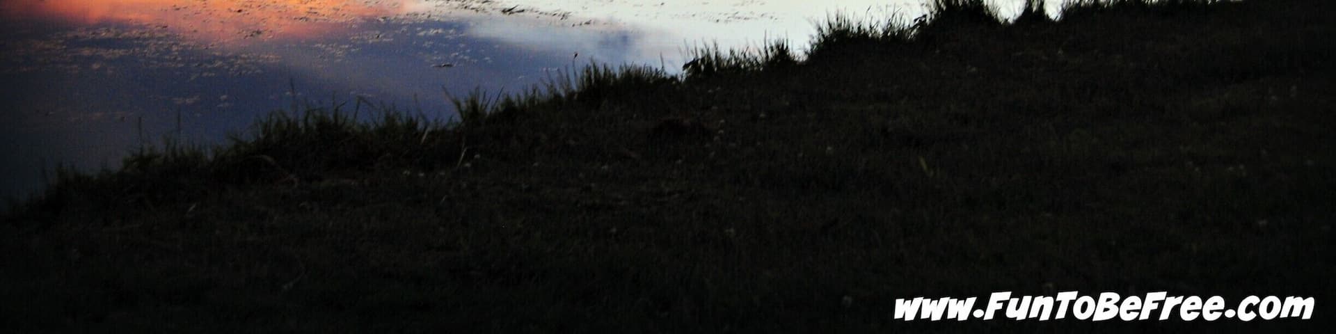 A shot of the Wolf River at sunset. Great rafting river ;) #GoldenHour