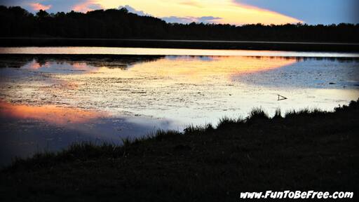 A shot of the Wolf River at sunset. Great rafting river ;) #GoldenHour