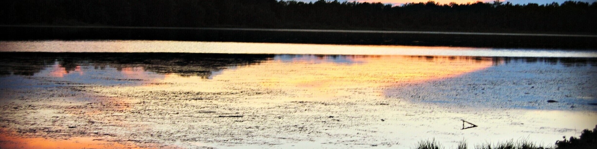 A shot of the Wolf River at sunset. Great rafting river ;) #GoldenHour