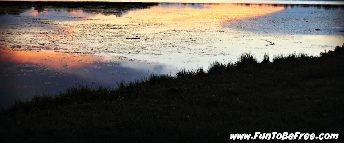 A shot of the Wolf River at sunset. Great rafting river ;) #GoldenHour