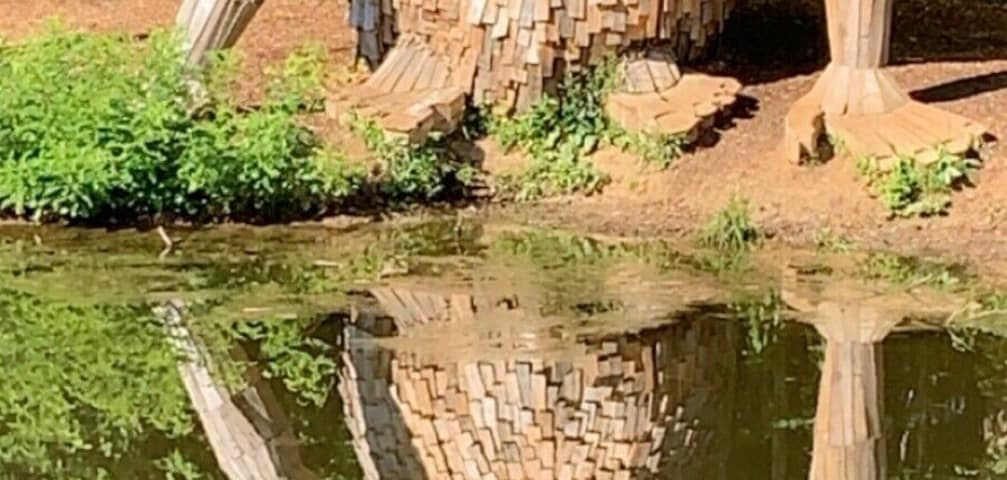 What a fun adventure, can you follow the trails to find the trolls?