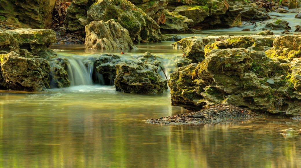 A beautiful stream runs along a scenic drive that leads to the Canopy Tree Walk, an bridge.