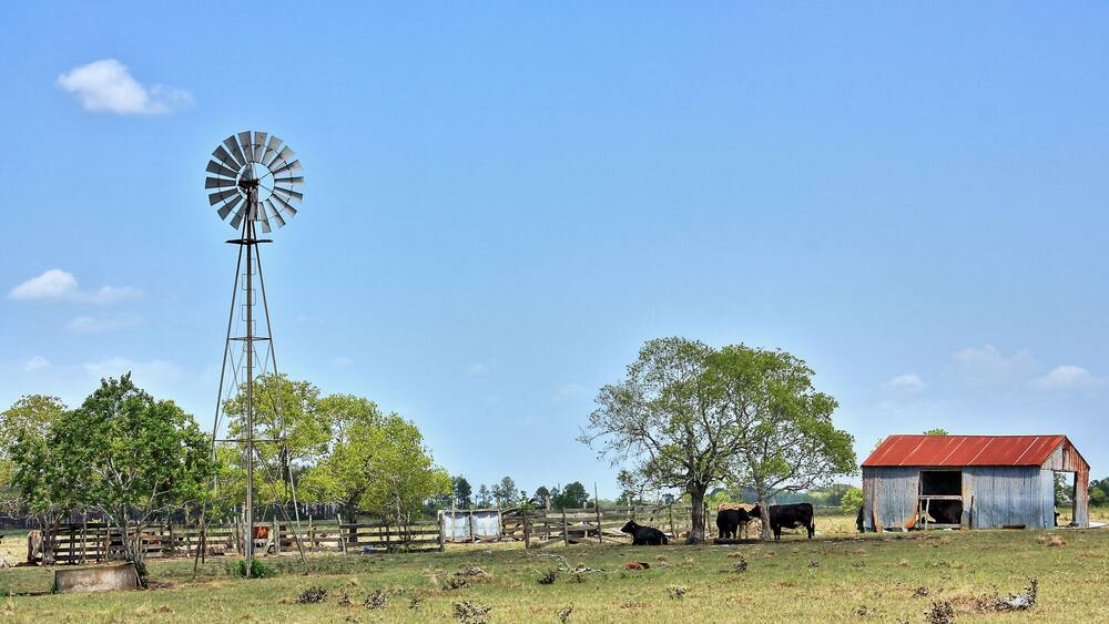 Sealy Texas Windmill and Red Roof