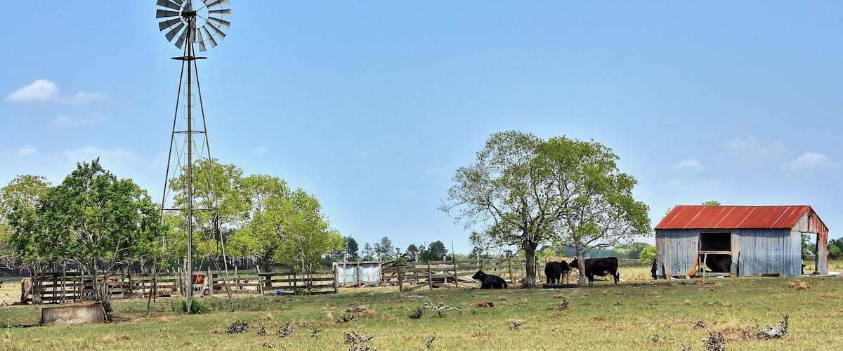 Sealy Texas Windmill and Red Roof