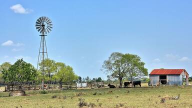 Sealy Texas Windmill and Red Roof