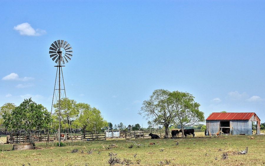 Sealy Texas Windmill and Red Roof