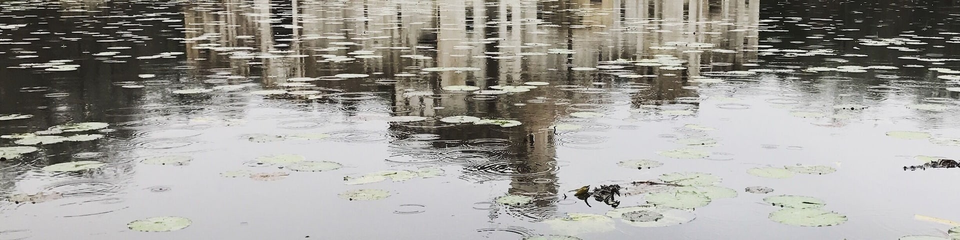 #instone
While driving to South Padre Island to #optoutside and welcome the new year, I found this little gem in a tiny detour. Mr Newman, the owner of Newman Castle, built the castle himself with the help of one other person. It took him ten years to move in (he actually lives there) and now he opens the doors of his home to people. I arrived right at the perfect time when he was starting the tour. He dubbed me Dame Maribeth with his sword (I don't think he ever heard of a Maribel before). The place is amazing and he even gave us water, sandwiches, donuts, and cookies. Before leaving, Mr Newman opened a tiny treasure chest and gave me a tiny "gold nugget" in payment for helping him guard his castle from enemy invasion. The entire time, I carried a wooden sword he gave me at the beginning of the tour. It was a nice a little pleasant surprise.
#roadtrip #AquaTrove