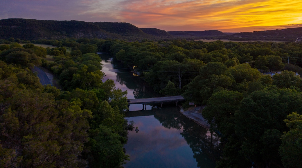 Bosque de Canyon Lake